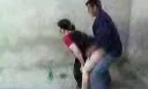 uzbek mba vesen mba  ...